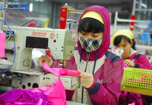 TPP may help Vietnam sew up clothing exports - ảnh 1
